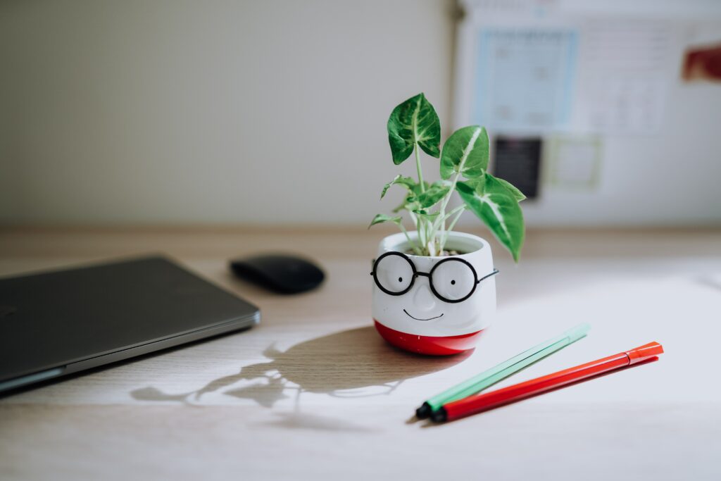 A closed laptop, pens and potted plant on a desk, representing tools for writing every day